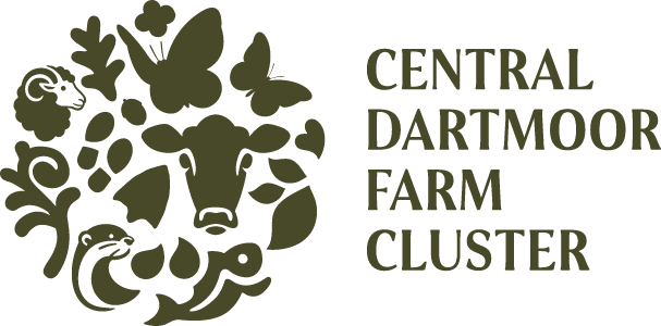 Central Dartmoor Farm Cluster