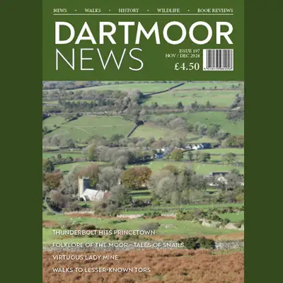Dartmoor News