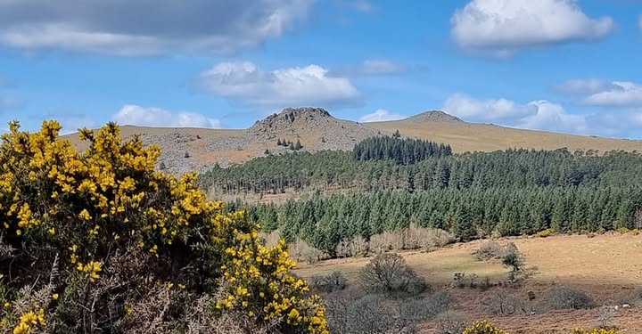 Dartmoor Public (Tourism Guide) - Facebook Group