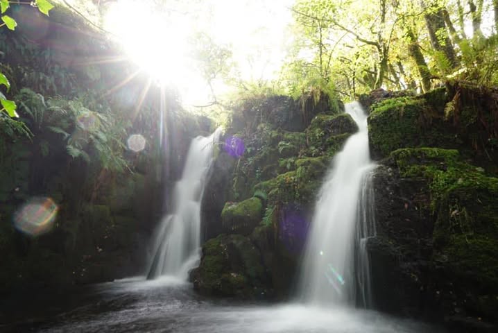 Dartmoor Official Page (Community Group) - Facebook Group