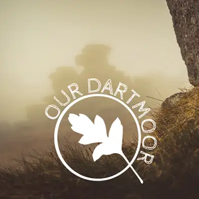 Devon Cycle Hire Ltd