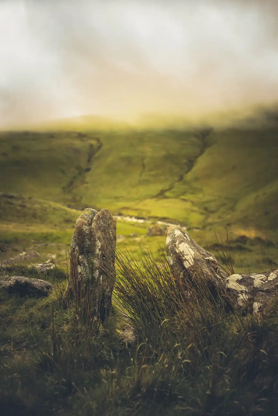 Tavy Cleave settlement, a prehistoric hut circle on Dartmoor