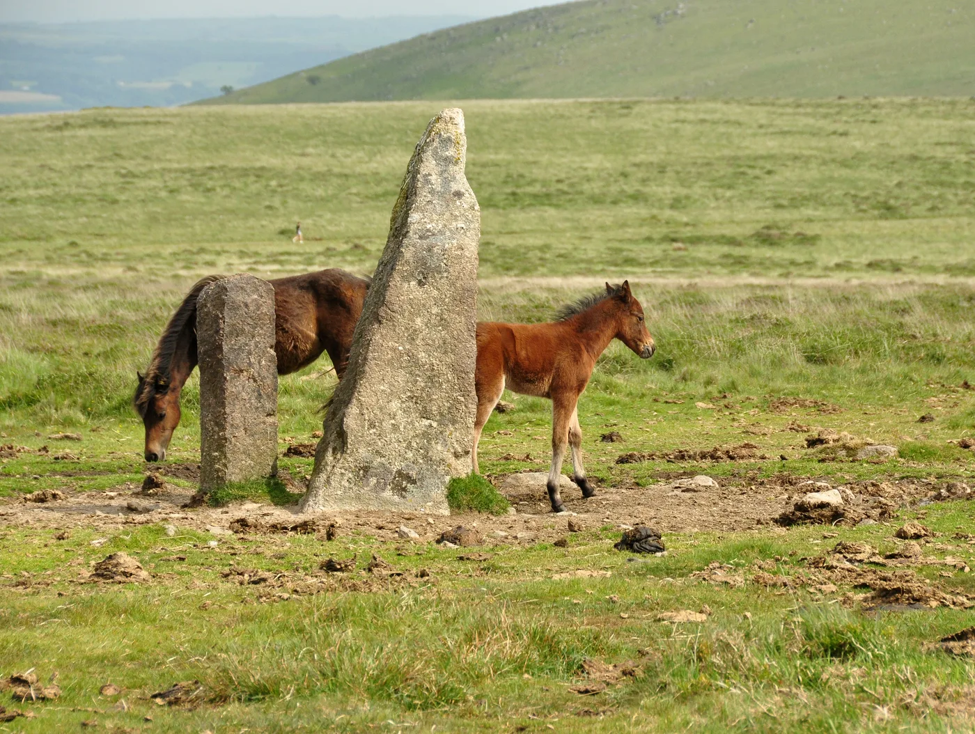 Standing Stones & Menhirs