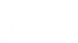 Salty's Studio