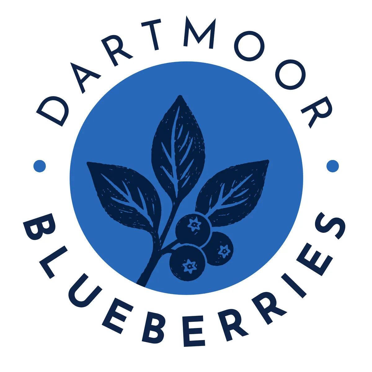 Dartmoor Blueberries