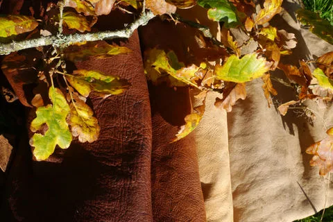 Oak and Smoke Tannery