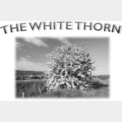 White Thorns