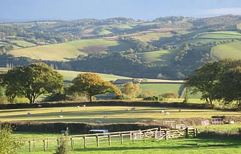 Cheriton Bishop & Teign Valley Practice