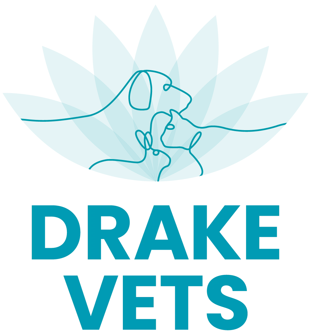 Drake Vets Yelverton