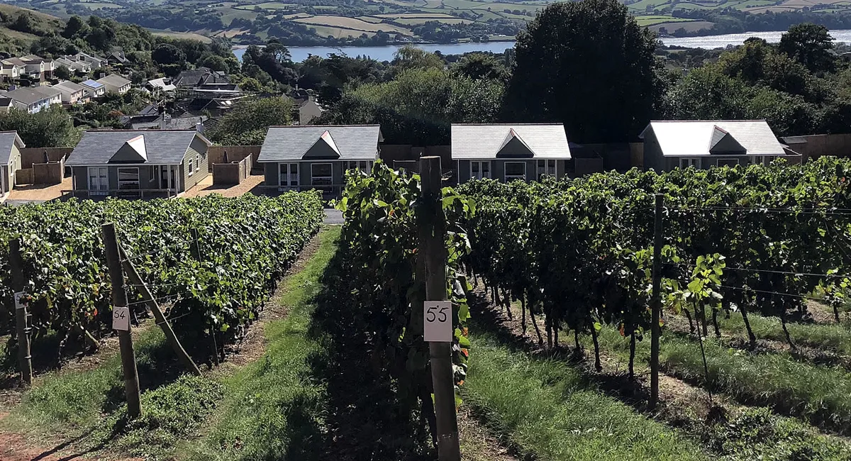 Old Walls Vineyard