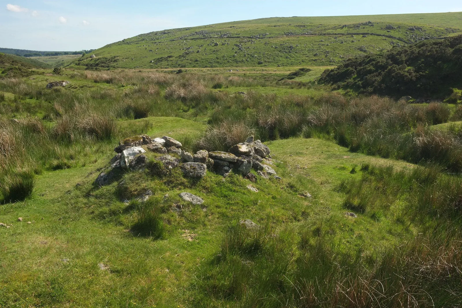 Beehive Hut