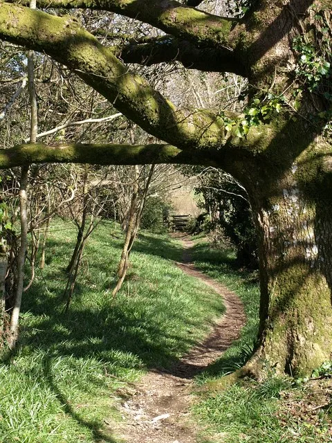 Woodland Trust Founder