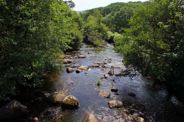 Stepping Stones