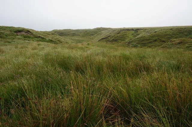 Petre's Pit