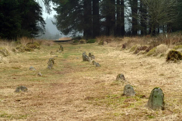 Fernworthy Stone Row