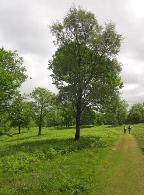 Hembury Castle Site