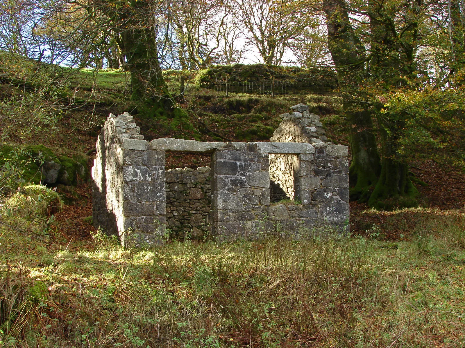 Cartridge and Press Rooms