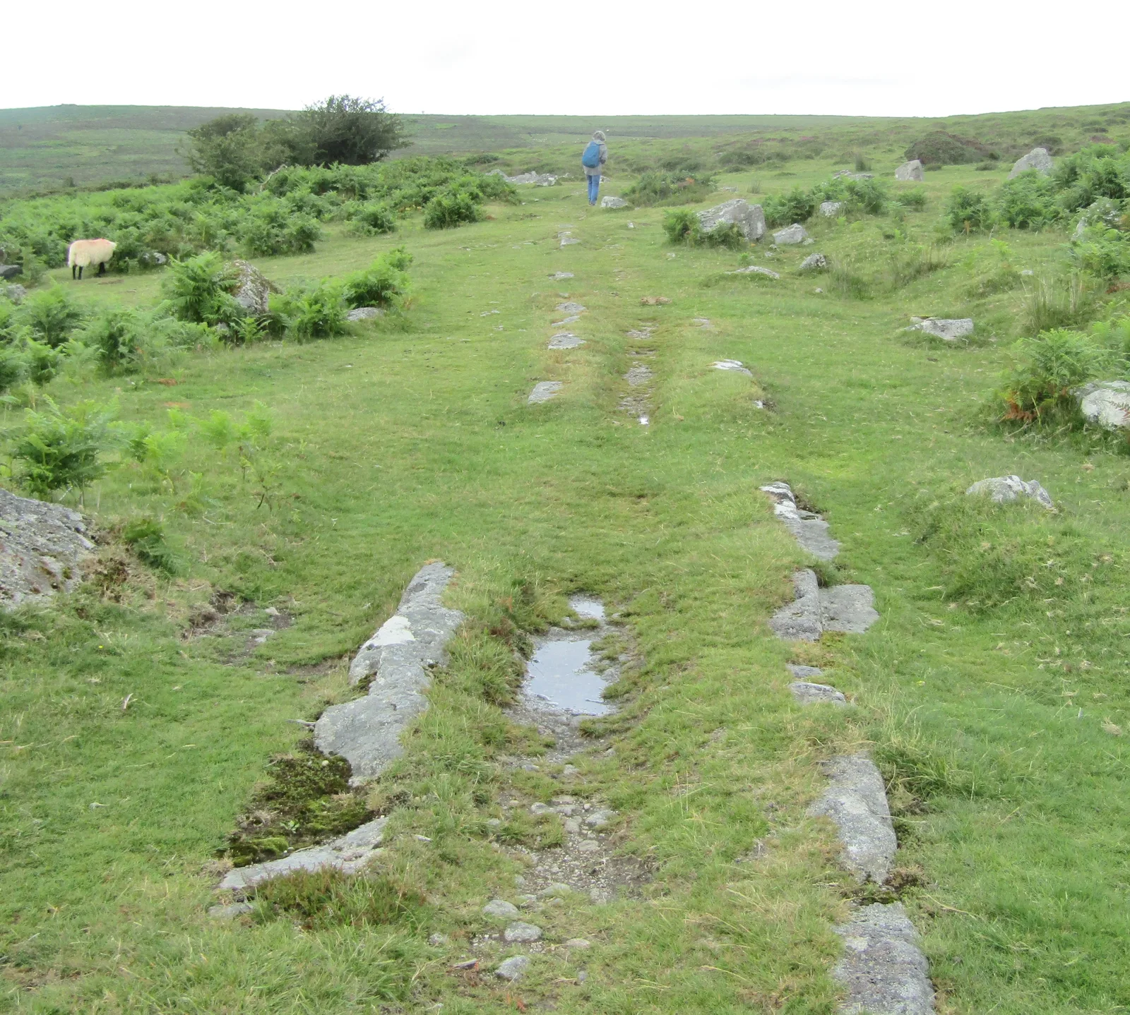 Haytor Granite Tramway