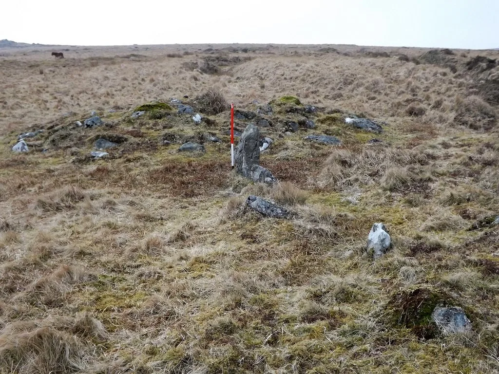 Hart Tor North stone rows