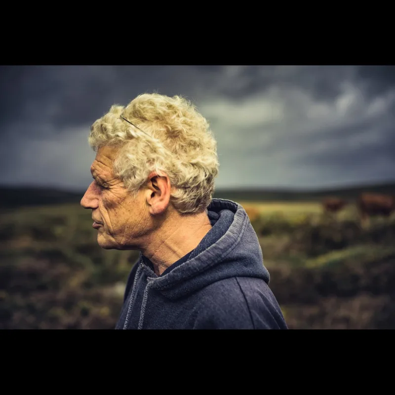 Adrian Colston - A Dartmoor blog