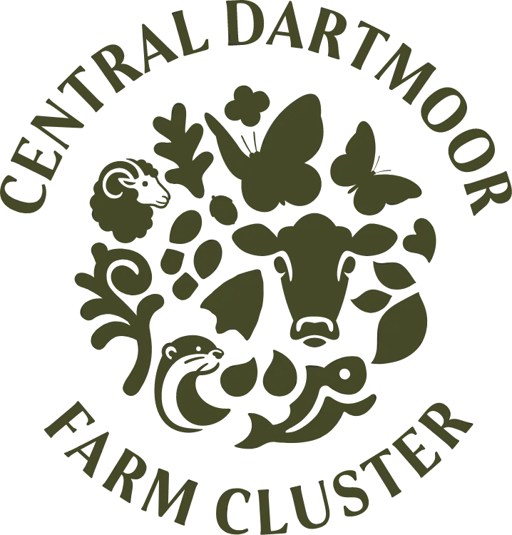 Central Dartmoor Farm Cluster