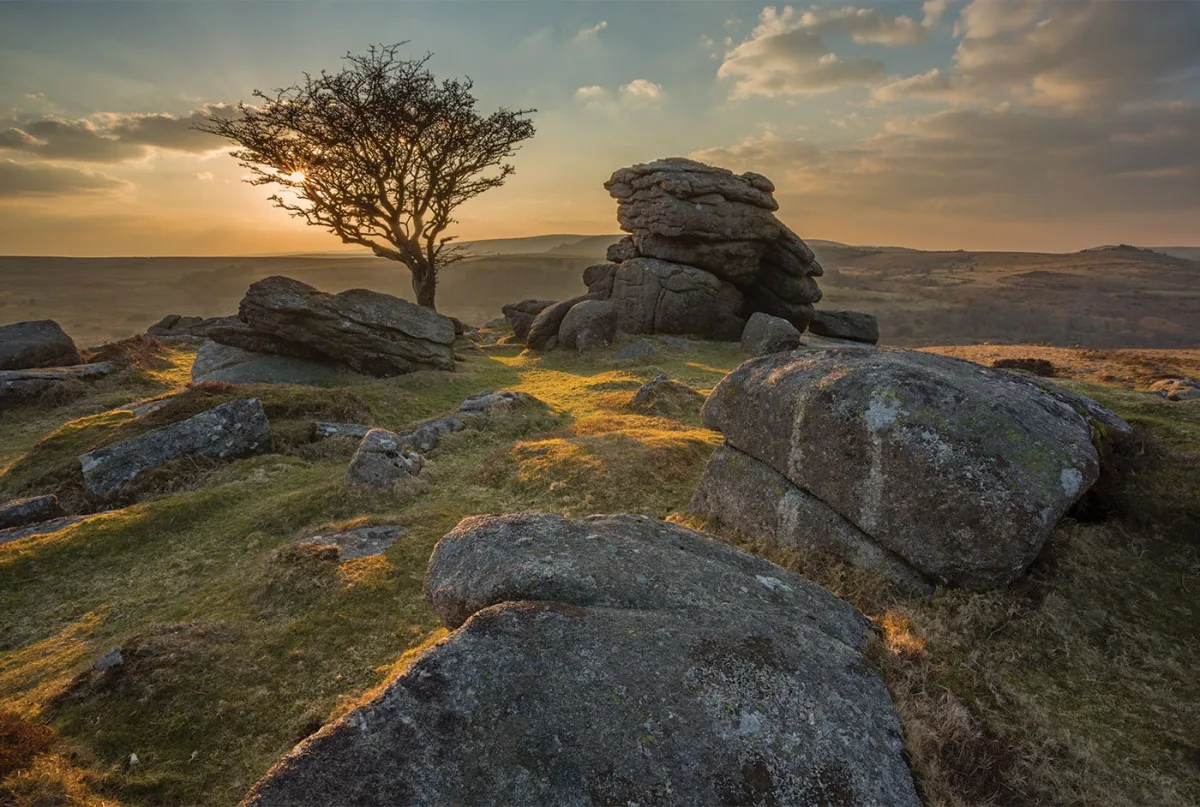 Dartmoor Distillery Ltd