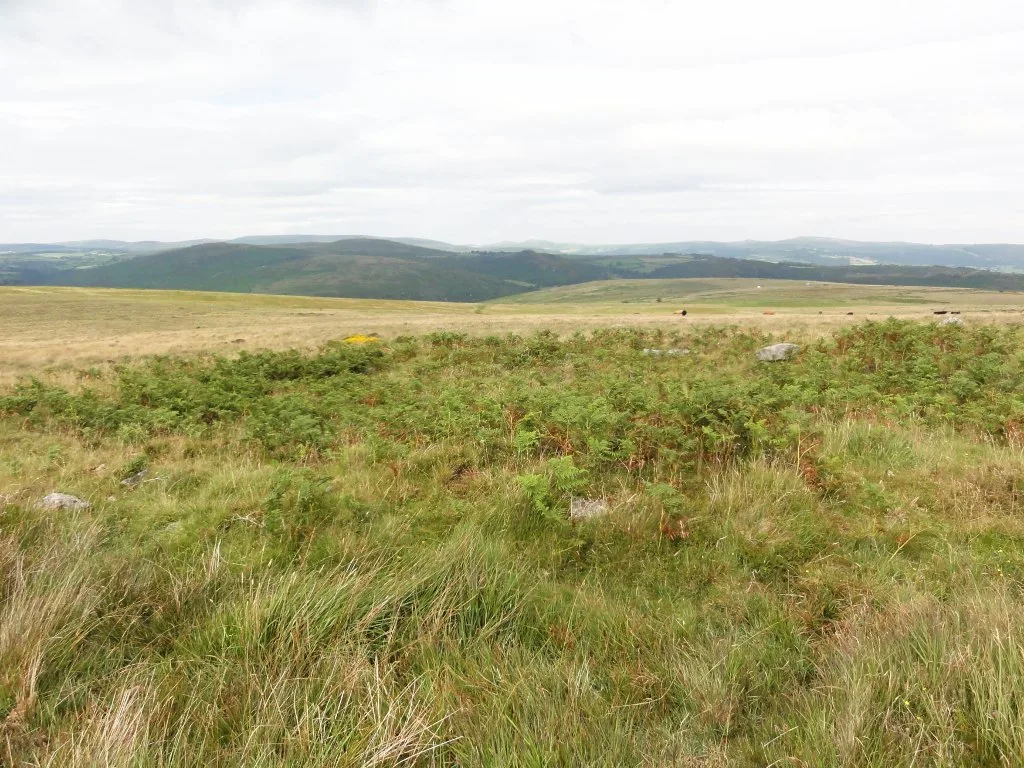 Four cairns near Horn's Cross