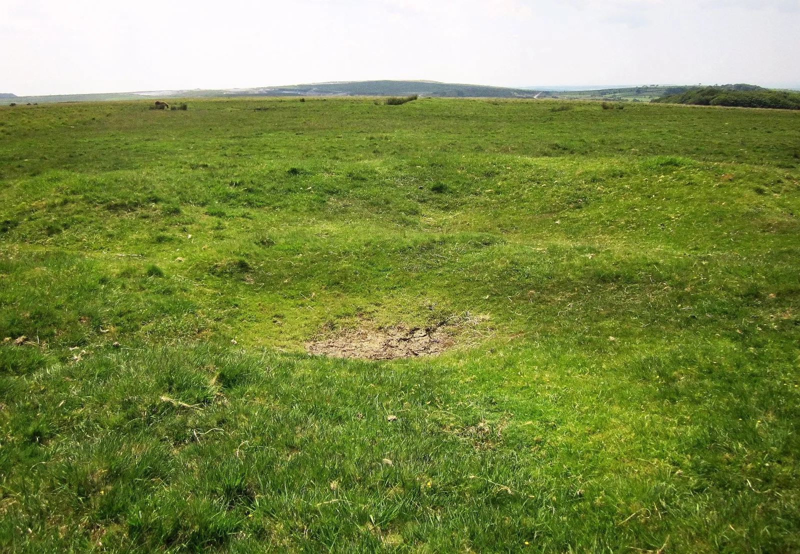 Cairn near Ringmoor Cottage