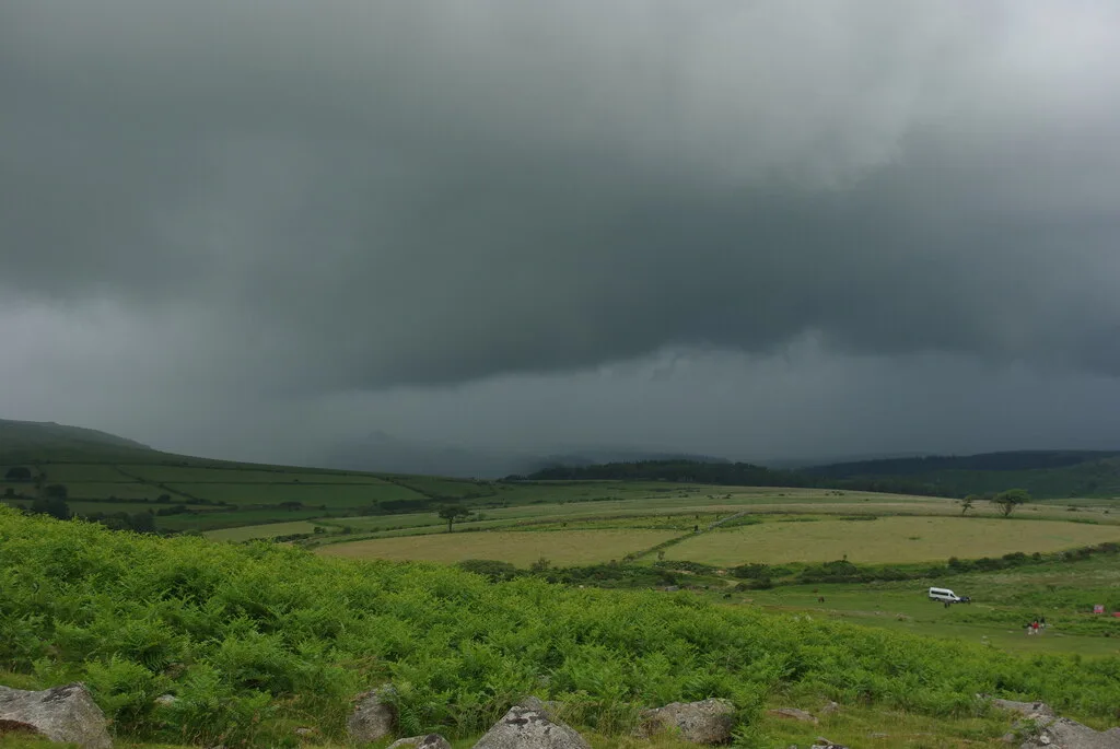 Enclosure with hut circles, Gutter Tor