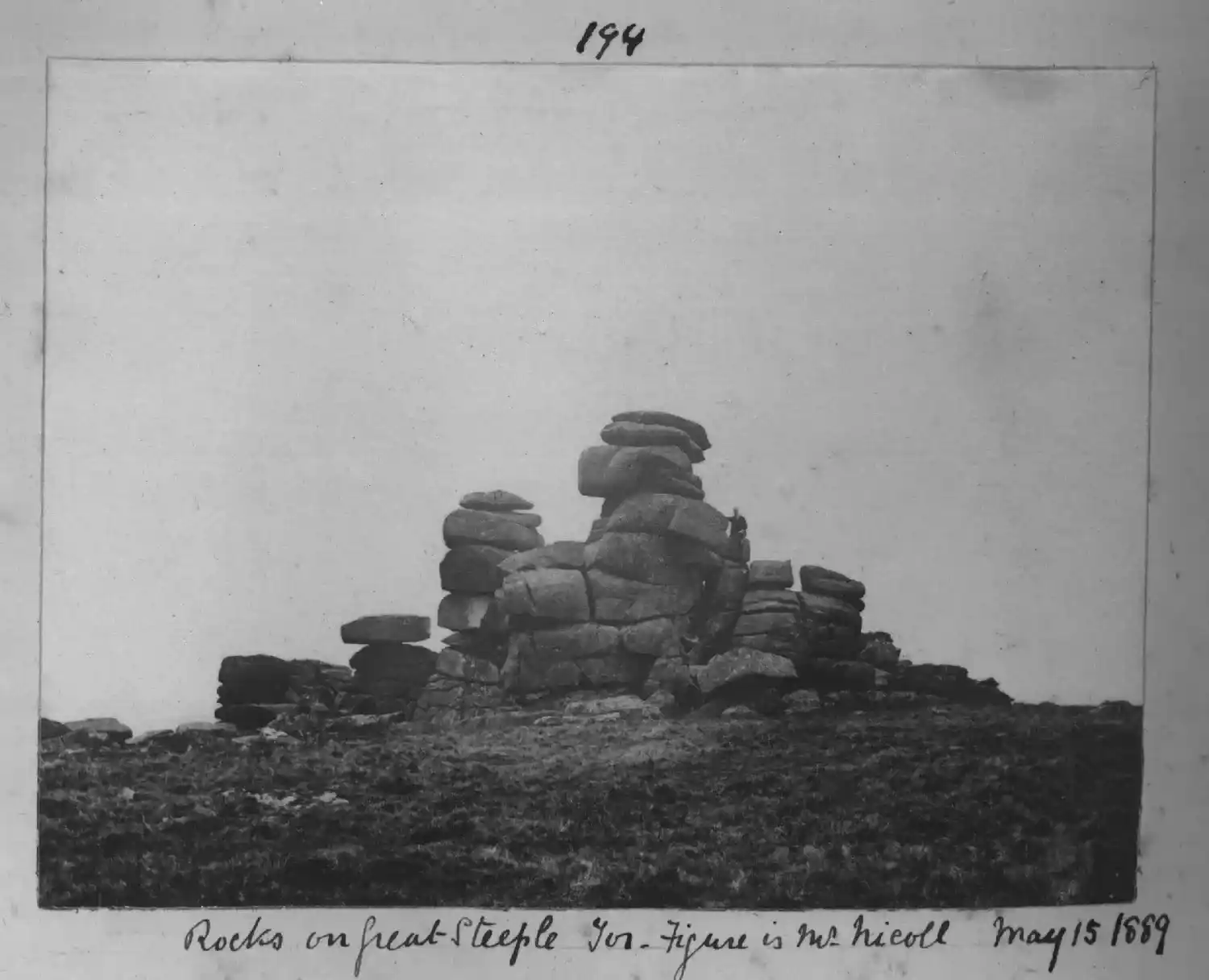 The Dartmoor Trust