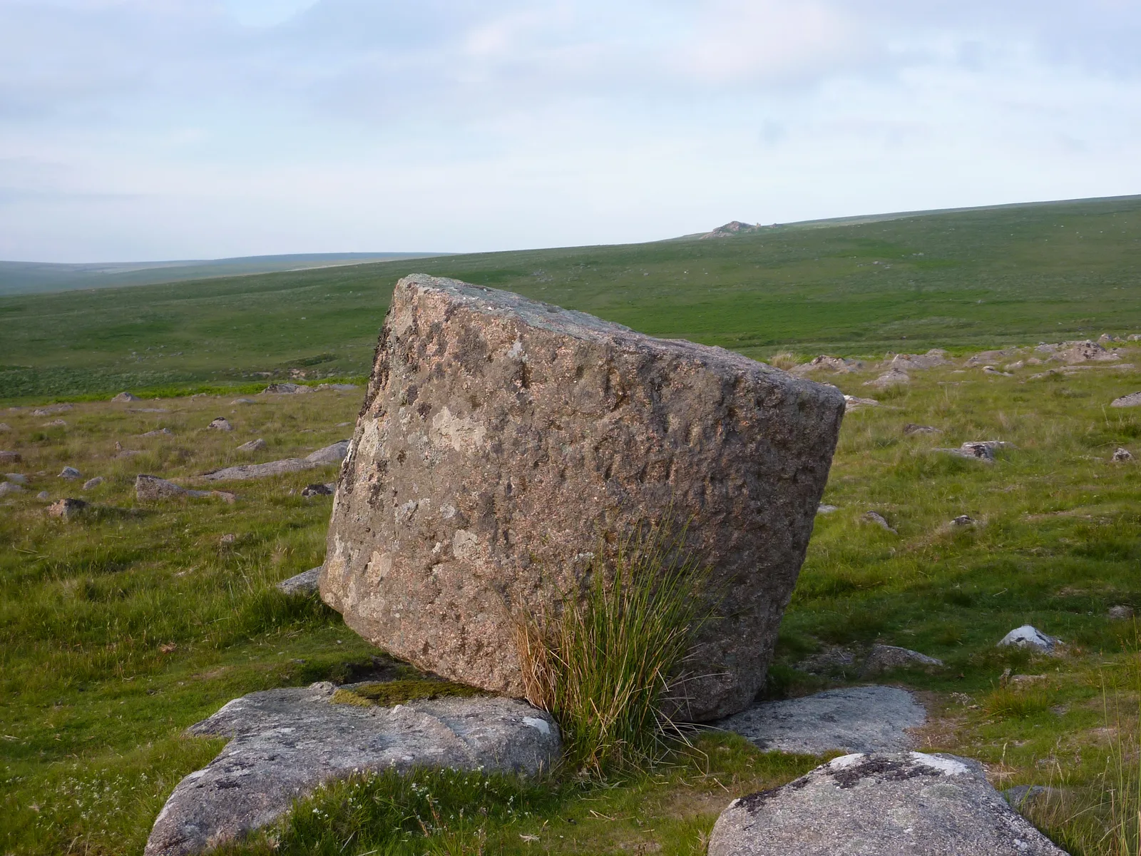 Pillow mound near Great Trowlesworthy Tor