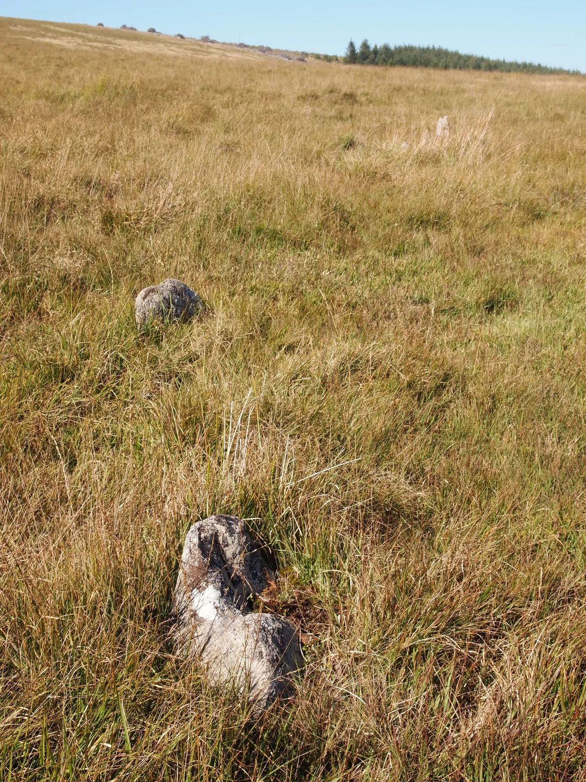 Stone alignment near Stannon Brook source