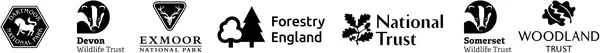 The Two Moors Pine Marten Project