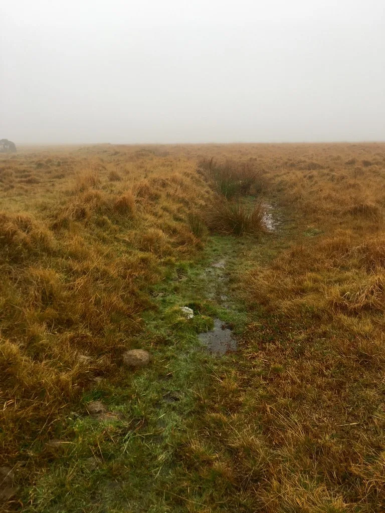 Stone setting (retaining kerb of a cairn) near Brisworthy Plantation