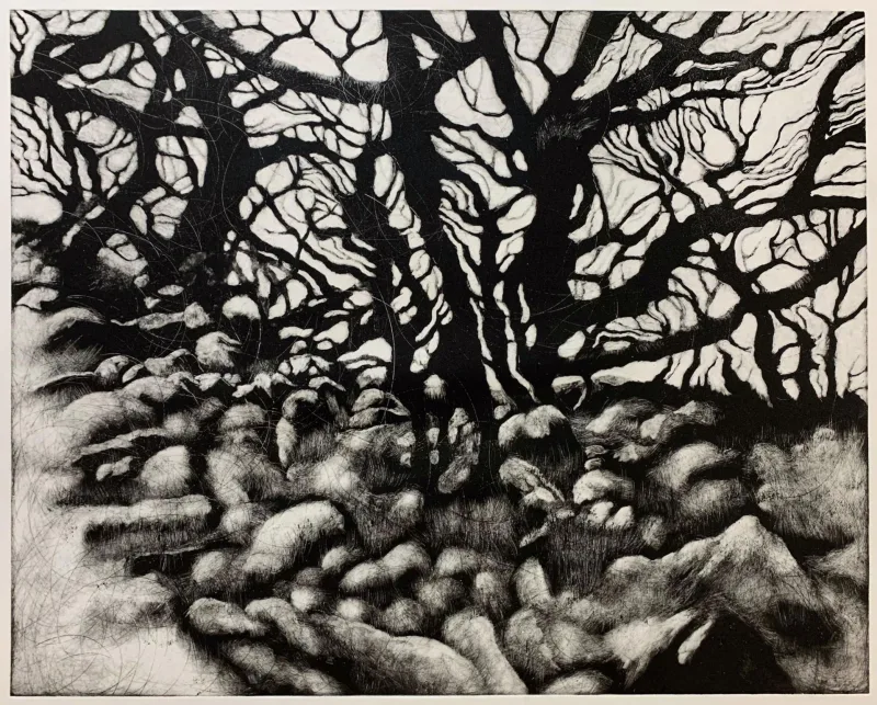 Ian Cox