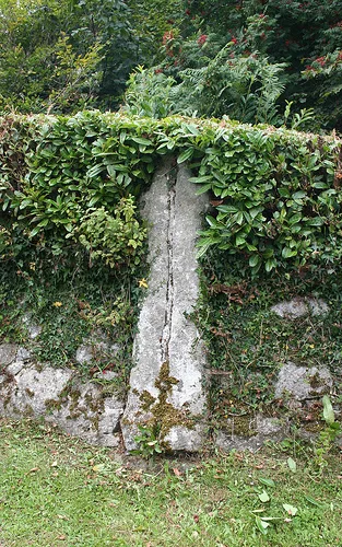 Cross About near South Harton Farm Gate