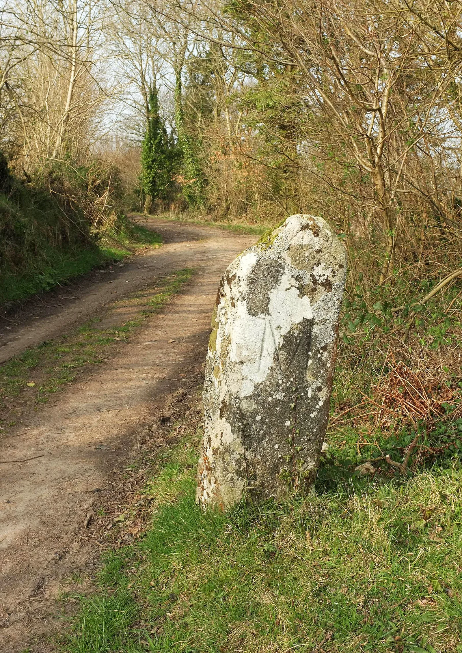 Wayside Stone, SX 742 887