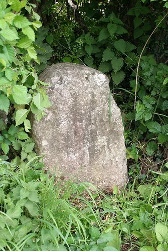 Milestone Approximately near Gage's Mill