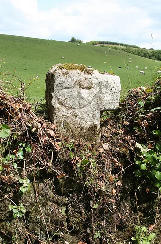 Cross Fragment, SX 678891