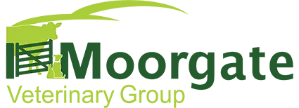 Moorgate Veterinary Group