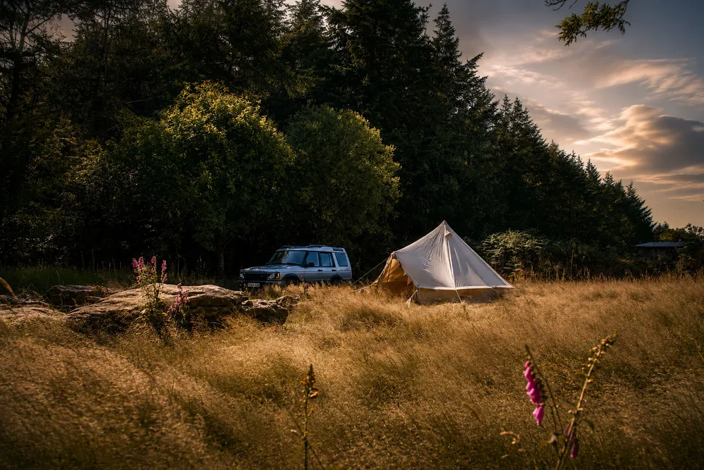 Beech Tree Campsite