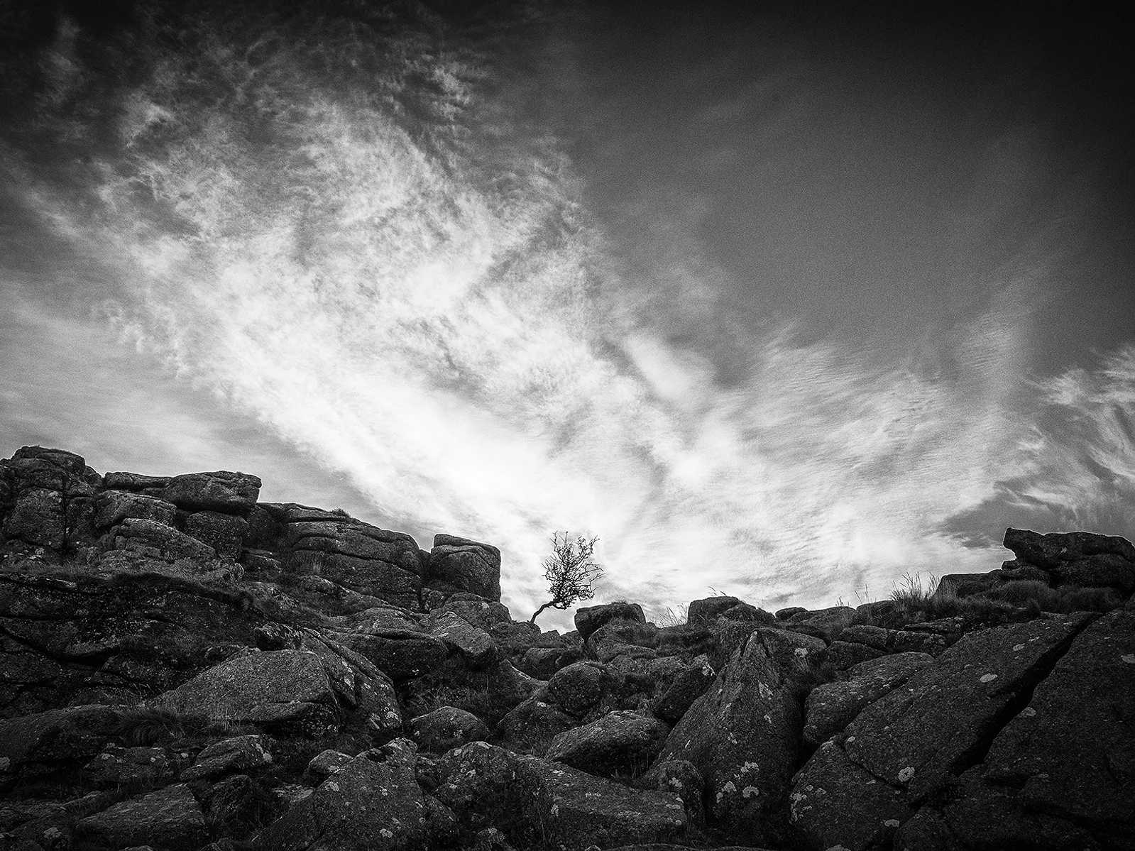 Mark Burley