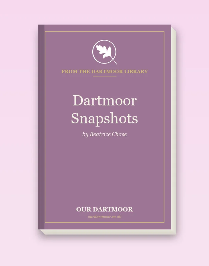 Dartmoor Snapshots