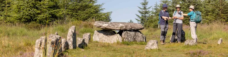 Dartmoor Pony Heritage Trust