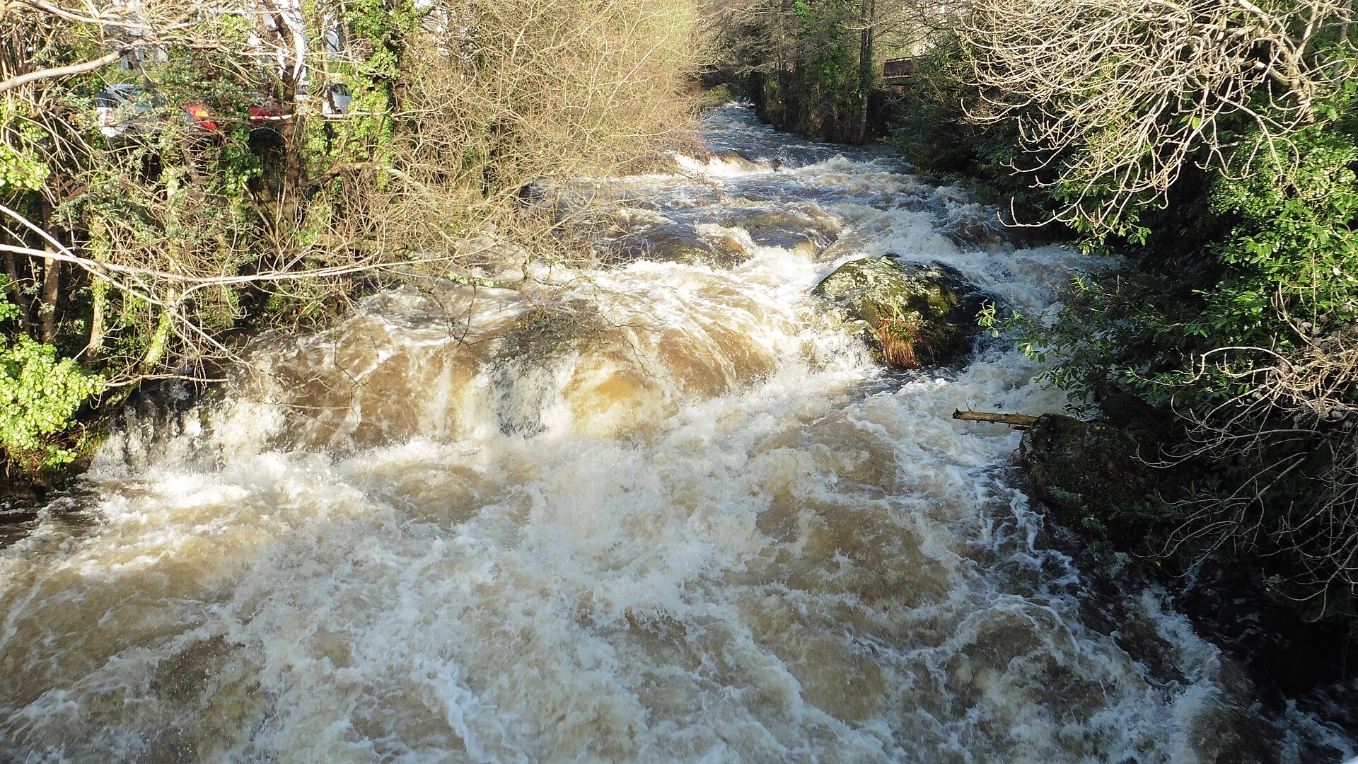 Ivybridge