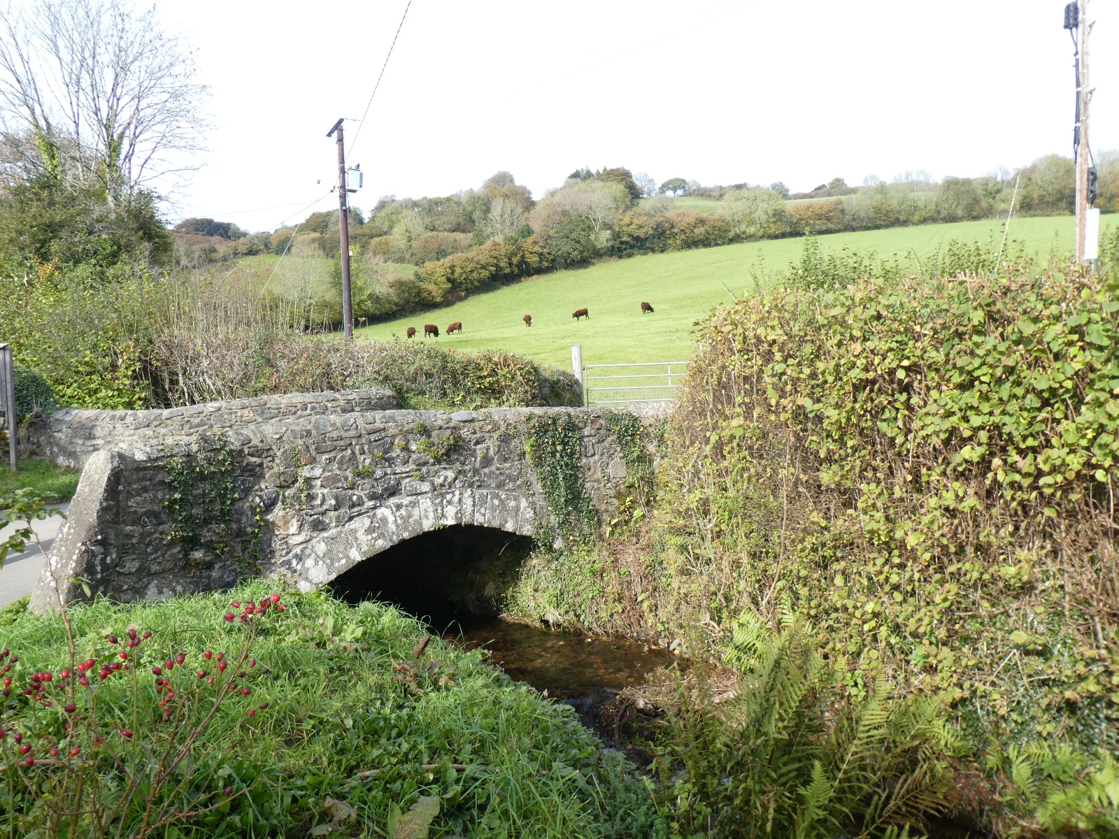 Michelcombe