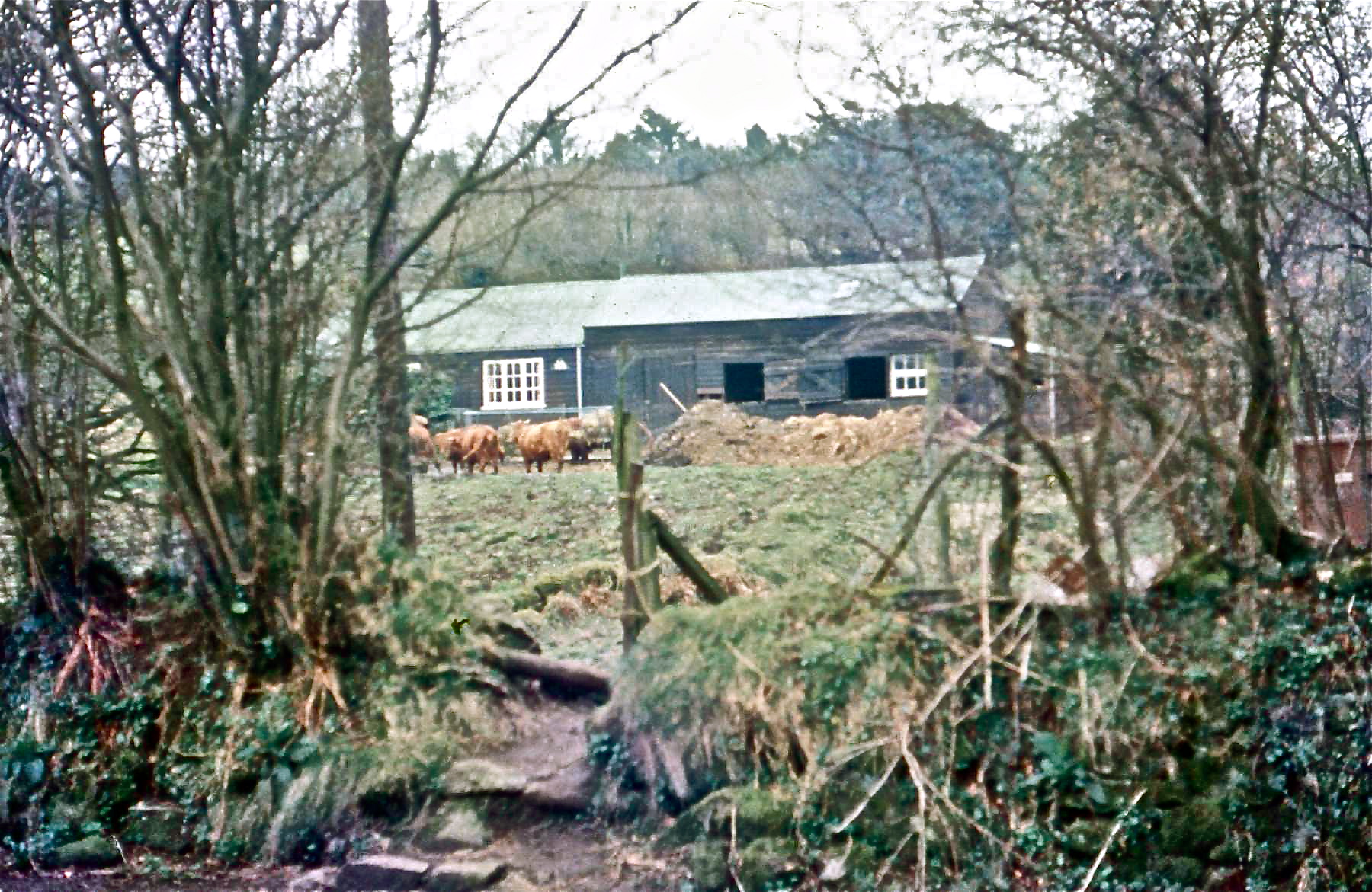 Gidleigh